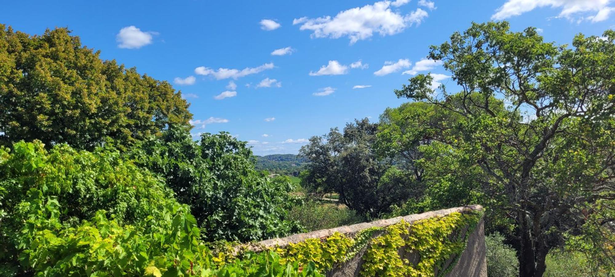 Le Domaine Du Soulier -Gite Et Chambres D'Hotes - La Maison Du Gardien Tornac Екстериор снимка